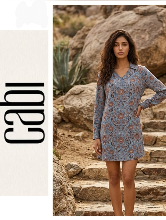 CAbi Dresses & Skirts - CAbi Long Sleeve Dress in Blue and Brown Pattern